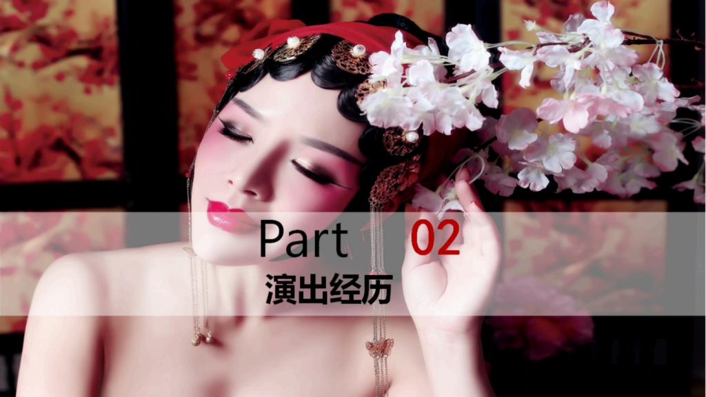 星档案-胡艾莲范例
